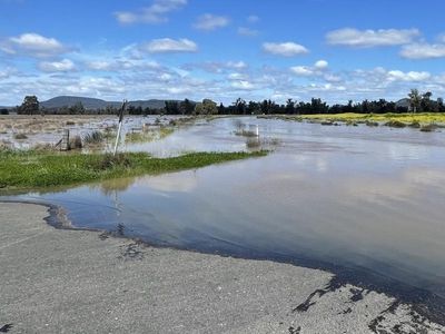 Flood alerts rain on NSW's public holiday