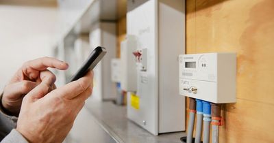 Ten-day energy warning issued to all households with an electricity meter