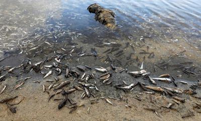 Endangered Mar Menor lagoon in Spain granted legal status as a person