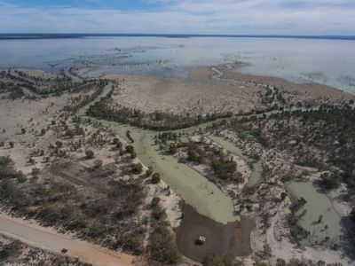 Murray-Darling Basin plan on the brink after NSW says it cannot meet water savings deadline