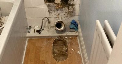 Landlord rips out toilet from tenant's house in row over rent