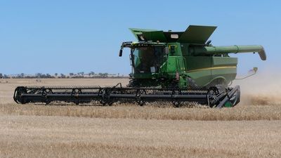 Grain prices remain low as growers eye third bumper harvest in a row