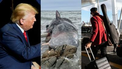 The Loop: Donald Trump and three eldest children sued, Play School legend dies, rush to save stranded whales in Tasmania, travellers warned of public holiday rush