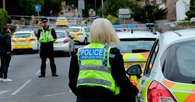 Boy, 15, dies after being brutally stabbed at school gates as murder probe launched