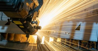 Manufacturers plead for help as growth forecasts are slashed for next year