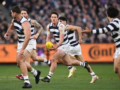 Cats ready for Franklin, Papley AFL tests