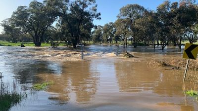 Farmers in parts of western NSW prepare for days of isolation as floodwaters swallow roads