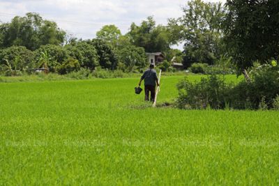 Vietnam 'not in deal with Thailand' to jointly raise rice prices