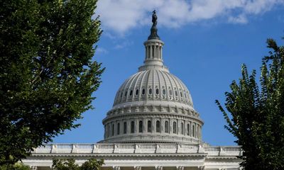 Democrats will struggle to keep control of Congress in midterms, expert says