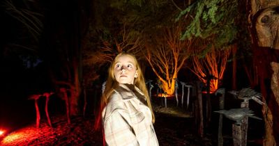Stunning light and sound experience pops up in north Dublin park