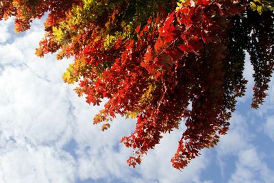 The first day of fall marks the autumn equinox, which is different from a solstice