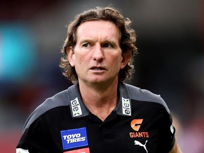 Hird confirms pitch for Essendon coach job