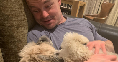 Dog lover Brian O'Driscoll collected wrong pet from the groomers and brought her home to wife Amy