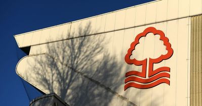 Nottingham Forest could launch January transfer 'attack' on Italian 'revelation'