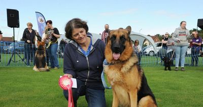 Paw-some fun at West Lothian charity dog show