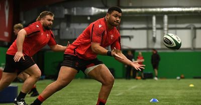 Wales prop ruled out of autumn campaign after undergoing surgery