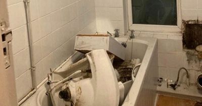 Landlord breaks into tenant's home and rips out bathroom because they owed rent
