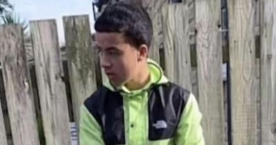 First photo of boy, 15, 'stabbed to death' outside school as suspect arrested