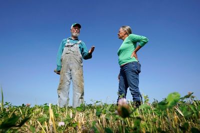 More consumers buying organic, but US farmers still wary