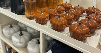Primark shoppers 'running' to stores for 'gorgeous' autumnal kitchenware