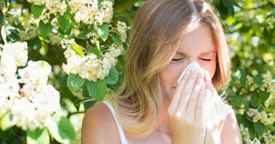 What is freshers flu? Causes, symptoms and cures for students explained