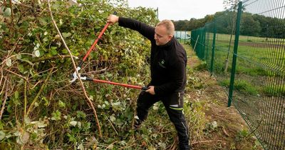 South Ayrshire Council forced to clear giant 'jungle' beside new Ayr sports arena