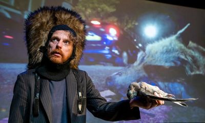 Kim Noble: Lullaby for Scavengers review – strange, tender and endlessly funny