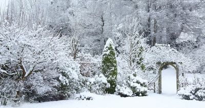 UK weather: Experts predict temperatures to plummet with chilling weekend ahead of SNOW