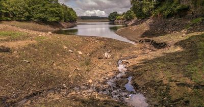 Hosepipe bans still in force in 4 regions as firms give update on when they will end