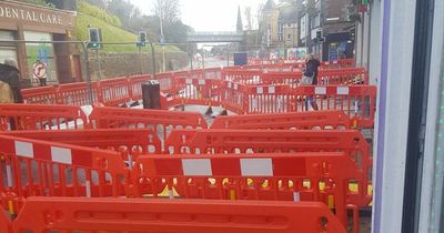 Edinburgh businesses warn cycle route work could force them to close