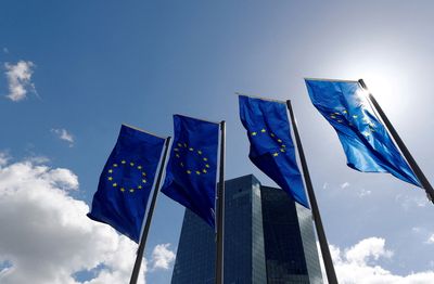 EU says members need a common policy on Russian arrivals