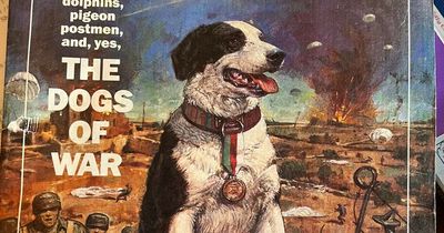 Victoria Cross awarded to heroic SAS para-dog in World War Two put up for sale