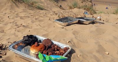 Calls for 'urgent action' over beach barbecue ban