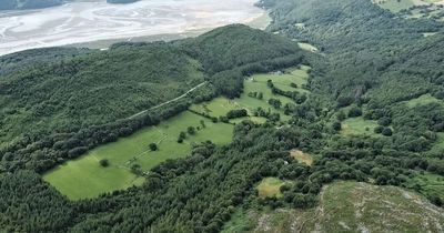 Forestry estate complete with its own historic gold mine on sale for £3.75million