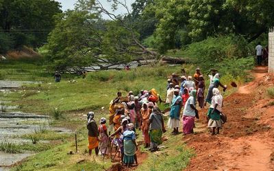 How Tamil Nadu has fared in Sustainable Development Goals