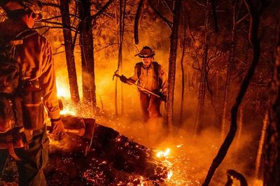 California to again protect insurance policies in fire areas