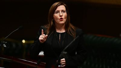 Labor MP Tania Mihailuk sacked from shadow ministry over criticism of Khal Asfour