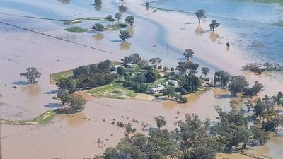 Floodwaters cut off western NSW farmers and towns, with more rain expected