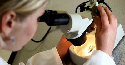 New Russian 'bat virus' could infect humans and resist Covid-19 vaccines, scientists warn