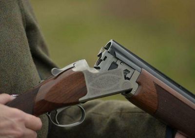 Probe launched into gun licensing in the wake of Skye shooting