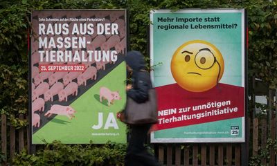 Swiss to vote in national poll on banning factory farming
