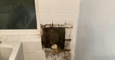 Landlord angry at unpaid rent ripped out tenants' toilet and sink