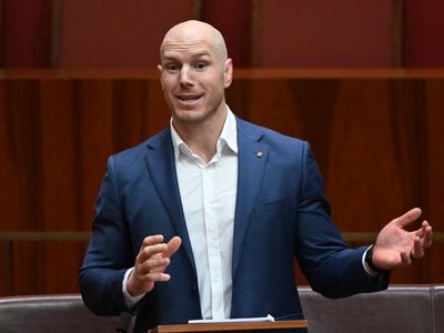 Pocock laments lost Senate sitting day