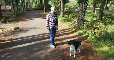 Double dog attack leaves woman lying in road looking like she had been 'mangled by a hedgecutter'