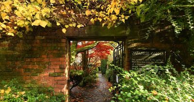 Beautiful autumn walks in and around Liverpool with a cosy café