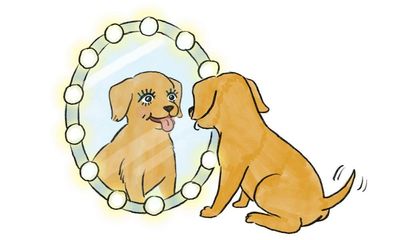 Should you flick your eyeliner down instead of up? ‘Puppy liner’ fans think so