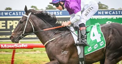 David Atkins counting on better start for Promitto in Golden Rose
