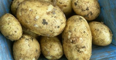 Nation's top 20 favourite vegetables revealed - with potatoes topping the list