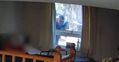 Terrified family watch burglar ransack home live on CCTV as pensioner lay sleeping