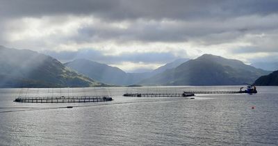 Mowi Scotland appeals Loch Hourn planning decision
